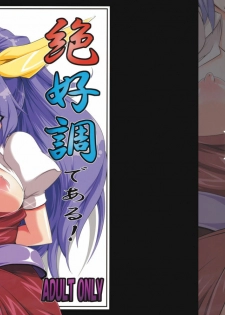 (C76) [BURUMAN (Tajima Yuki)] Zekkouchou de Aru! (Touhou Project)