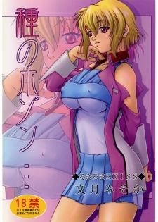 (C67) [Ruki Ruki EXISS (Fumizuki Misoka)] Tane no Hozon ... (Gundam SEED DESTINY)
