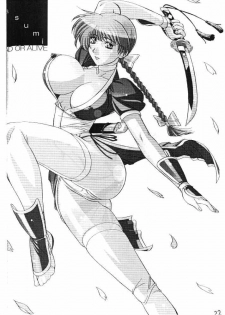 (C58) [F4 Company (Fuku Pen, M Boy, Masahiko)] [B] (Dead or Alive) - page 21