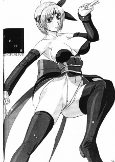 (C58) [F4 Company (Fuku Pen, M Boy, Masahiko)] [B] (Dead or Alive) - page 25