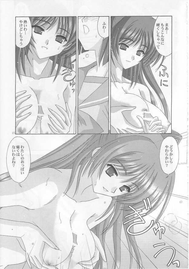 [Bousou!! Fuhatsudan] tamatama (ToHeart 2) page 14 full