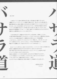 (C69) [Nylon 100% (Nylon)] Basaradou (Sengoku Basara) - page 26