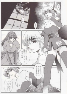 (C58) [BREEZE (Haioku)] R25 Vol.2 DoA2 SECOND (Dead or Alive) - page 5