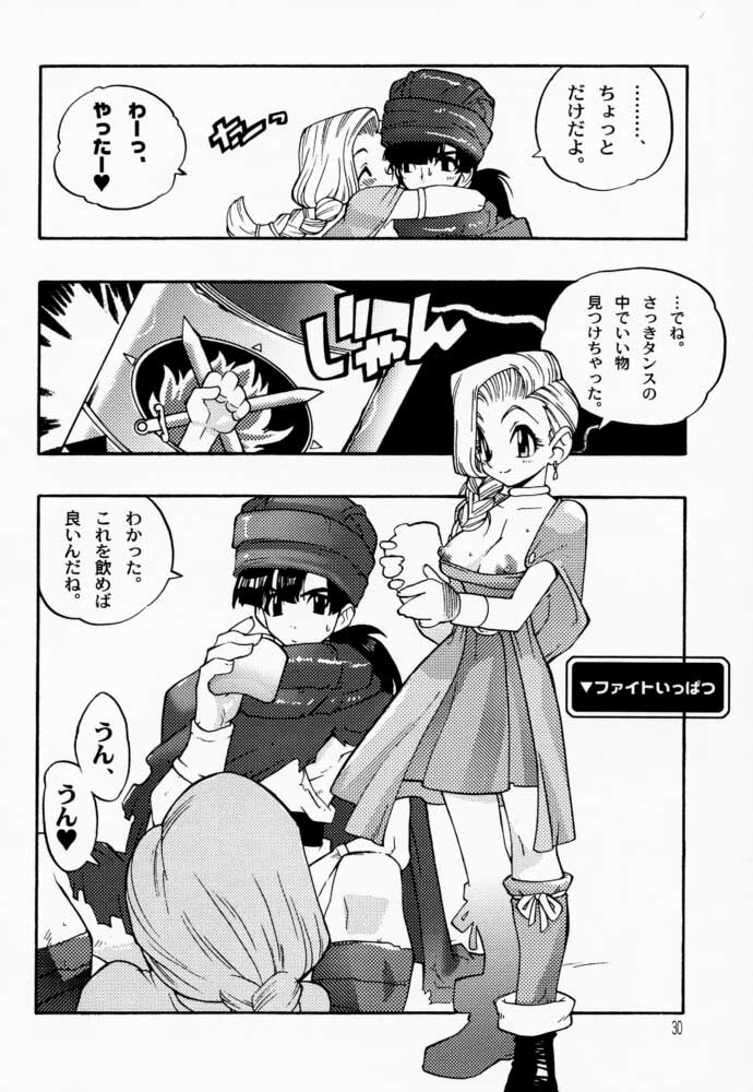(C57) [Heroes Factory (Fujimoto Hideaki)] Draque Miracle (Dragon Quest) page 30 full