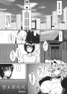 (C76) [YOMOTHUHIRASAKA (bbsacon)] Dagatsu Inumi Ni (Sekirei) - page 4