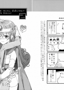 (C76) [R2 (Rakko)] Yuusha no Chousenjou 2 Neko Reset (Dragon Quest III) - page 25