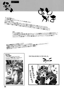 (C76) [R2 (Rakko)] Yuusha no Chousenjou 2 Neko Reset (Dragon Quest III) - page 27