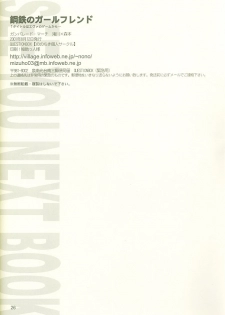 (C60) [QUESTIONBOX (nonochiki)] Koutetsu no Girlfriend (Gunparade March) - page 25