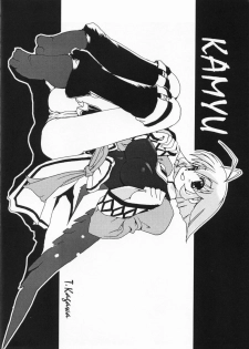 (CR31) [SUKAPON-DO (Kagawa Tomonobu, Yano Takumi)] Iyashi. (Various) - page 13
