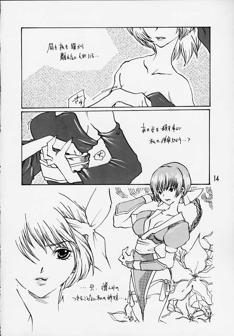 (C58) [Alice Syndrome] DEAD END (Dead or Alive) page 10 full