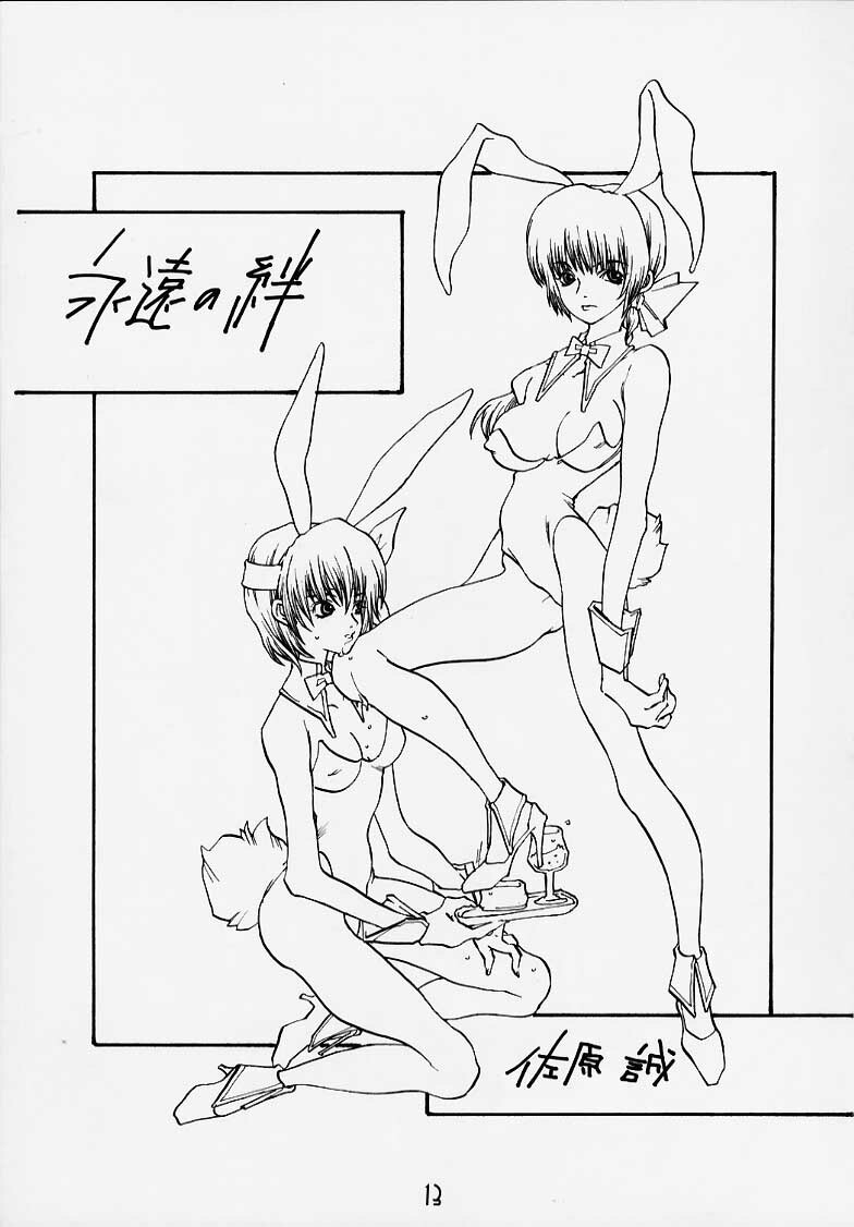 (C58) [Alice Syndrome] DEAD END (Dead or Alive) page 9 full