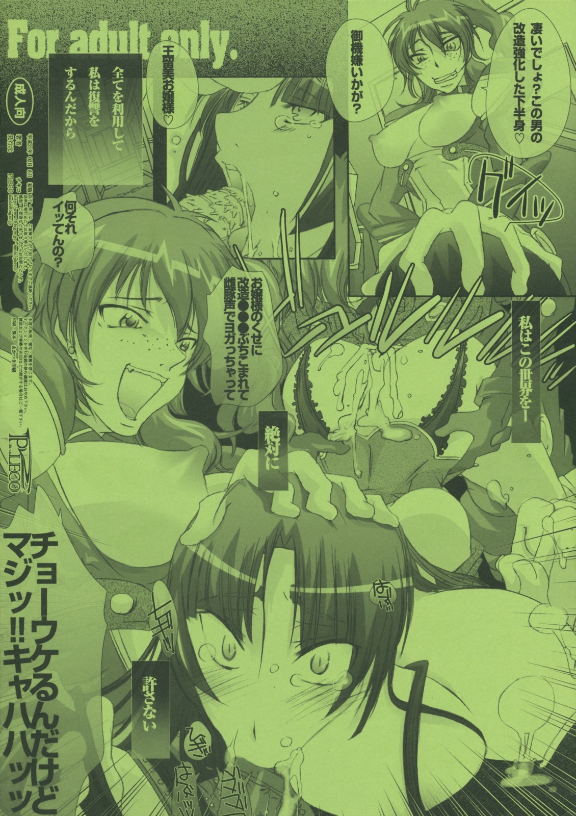 (SC42) [PLECO (Chikiko)] pleco-de；B Watashi wa Zettai Yurusanai (Gundam 00) page 13 full