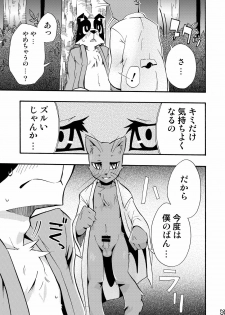 (C76) [Harugoya (Harusuke)] Harubon 5 - page 23