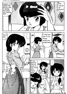 Ranma X forever: The Ladies of Tendou's Family (Ranma 1/2) [English] [Rewrite] [lambdah] - page 21