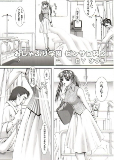 (C62) [Frapper Spirits (Hitsuki)] Oshaburi Gakuen PinSalo-ka 2 (Dead or Alive) - page 2