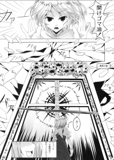 (C76) [barista (Kirise Mitsuru)] Schrodinger (Touhou Project) - page 3