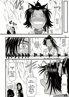 [Great Dadan (Seijirou Kagechika)] Yoruichi Nyan no Hon 2 (Bleach) [French] [O-S] [2004-10-29] - page 24