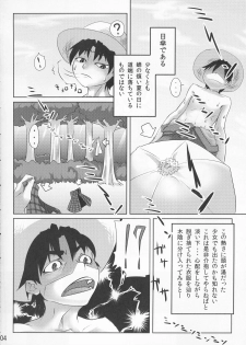 (C76) [kaibido (mokei)] Gensoukyou dewa Yoku Aru Koto (Touhou Project) - page 4