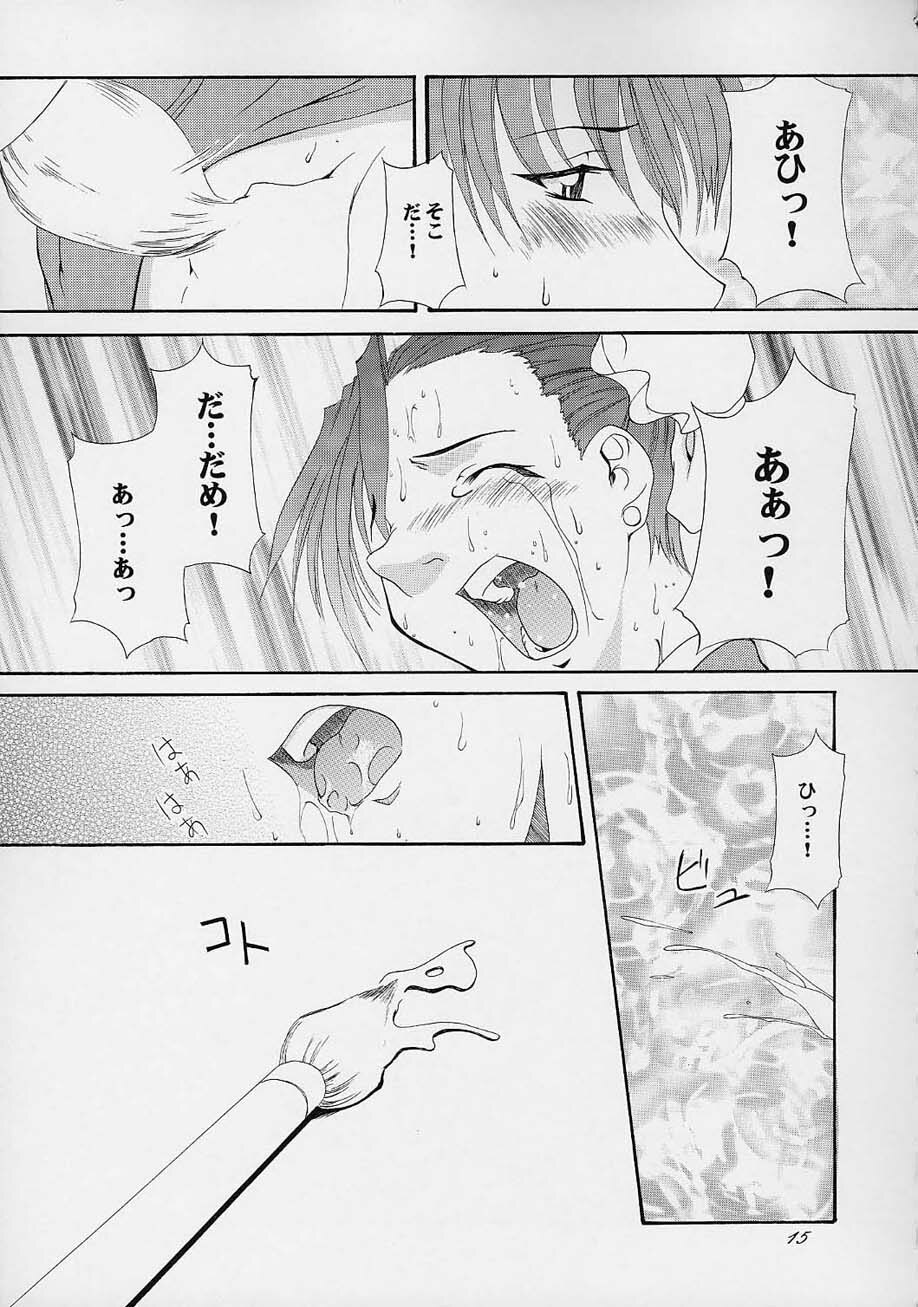 (C61) [F.A (Honoutsukai)] Haru VS 2 (Street Fighter, King of Fighters, Samurai Spirits) page 14 full