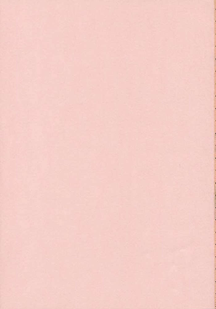 (C68) [Nirvana Soft (HIRONII)] FINAL RED IMPACT (Gundam Seed Destiny) page 2 full