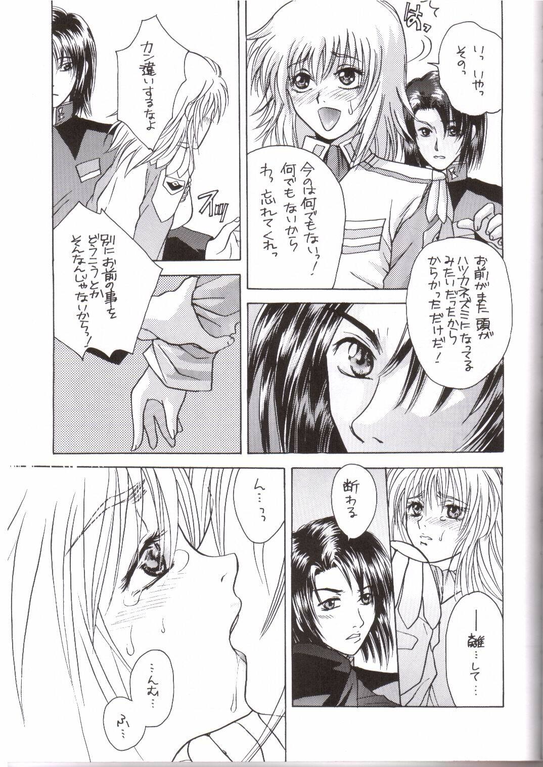 [L.S.P. (Suzuki Takasaki)] FLAVOR 03 (Gundam SEED) page 4 full