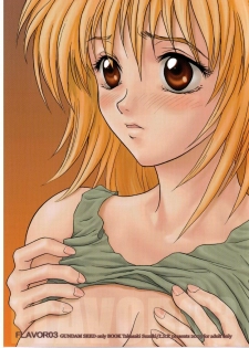 [L.S.P. (Suzuki Takasaki)] FLAVOR 03 (Gundam SEED)