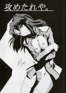 (C64) [studio C-TAKE (Miura Takehiro)] GUNYOU MIKAN vol.18 (Mobile Suit Gundam SEED) - page 22