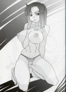 (C64) [studio C-TAKE (Miura Takehiro)] GUNYOU MIKAN vol.18 (Mobile Suit Gundam SEED) - page 26