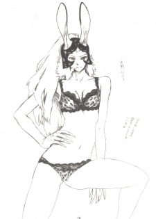 (SC32) [SledgehammerOut! (Yoshijima Ataru)] Togetsuki Mace (Final Fantasy XII) - page 15