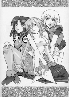 (C64) [Studio Wallaby (Kika = Zaru)] G-SEED Princes (Kidou Senshi Gundam SEED) - page 2