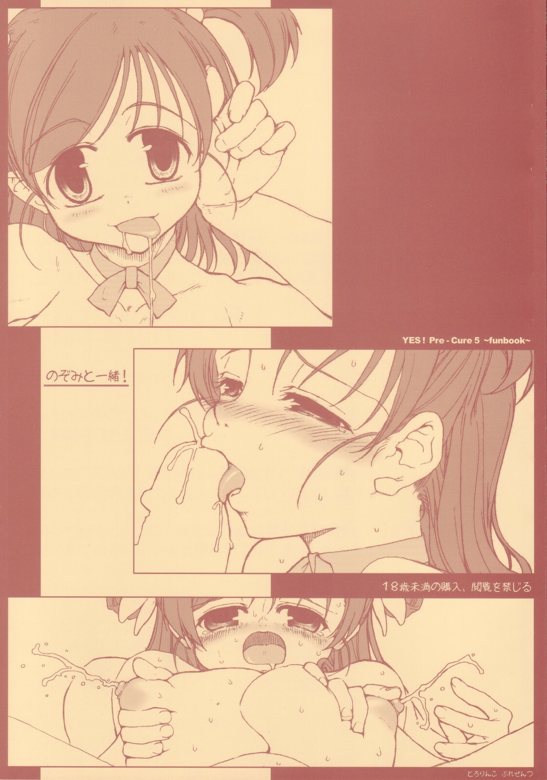 [Tololinco (Tololi)] Nozomi to Issho! (Yes! Precure 5) page 1 full