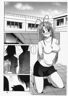 [St. Rio (Kichigai Teiou, Kouenji Rei)] Love Dasi 21 (Love Hina) - page 5