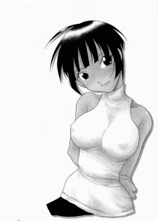 (C60) [MANGANA (Doluta, Nishimo)] Nyan Nyan No Moto (Love Hina) - page 2