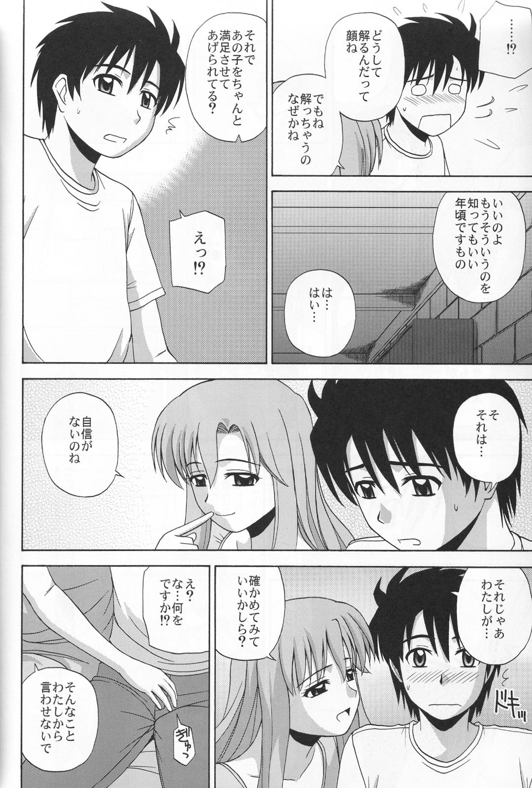 (C76) [G-SCAN CORP. (Satou Chagashi)] Le beau maitre 6 (Zero no Tsukaima) page 17 full