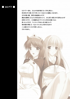 [Imagination scenery] Zero no Shoufu / The Prostitute of Zero (Zero no Tsukaima) - page 28