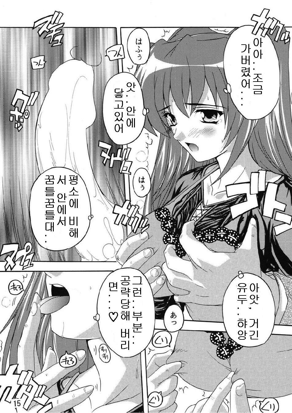 (C74) [Studio Q (Natsuka Q-Ya)] Chikan Otoko R Tama-nee Hen (ToHeart2) [Korean] page 15 full