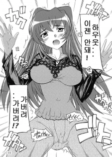 (C74) [Studio Q (Natsuka Q-Ya)] Chikan Otoko R Tama-nee Hen (ToHeart2) [Korean] - page 11