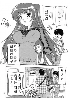 (C74) [Studio Q (Natsuka Q-Ya)] Chikan Otoko R Tama-nee Hen (ToHeart2) [Korean] - page 3