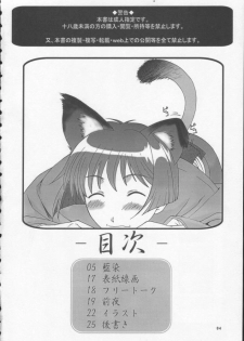 (C62) [BREEZE (Haioku)] R25 Vol.7 Aizen (Ai Yori Aoshi) - page 3
