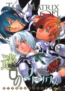[Mao Ryoka by Hydra] The Matrix of Labirynth [LavixAllen][D.Gray-Man][yaoi] - page 24