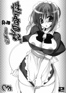 (C75) [OTOMEKIBUN (Sansyoku Amido.)] Seishun Nikki 2