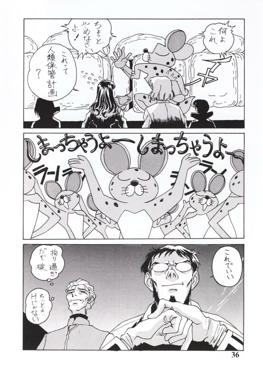 [STUDIO CROSS POINT (Chichuukai George)] NERV MAGAZINE NO. 1 (Neon Genesis Evangelion) page 35 full