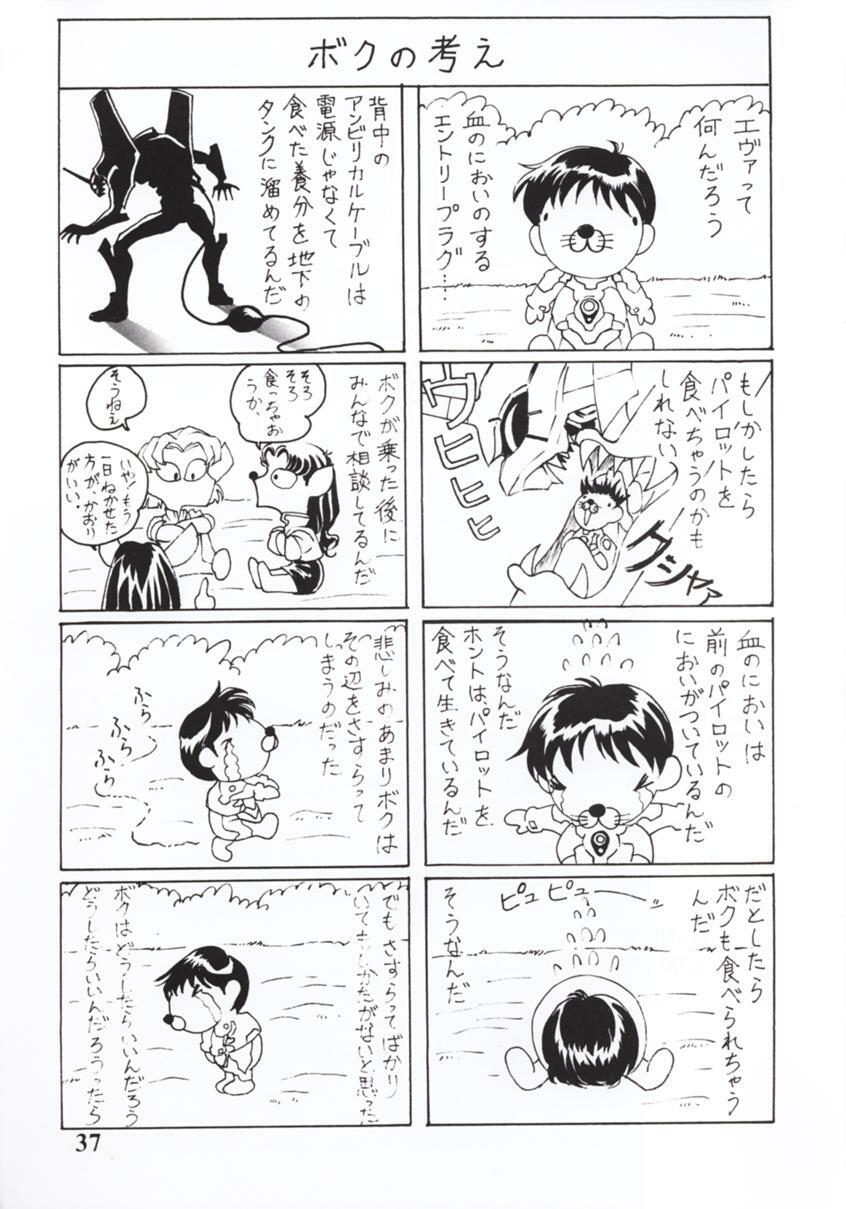 [STUDIO CROSS POINT (Chichuukai George)] NERV MAGAZINE NO. 1 (Neon Genesis Evangelion) page 36 full