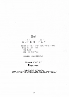 (C69) [BLACK DOG (Kuroinu Juu)] Super Fly (Bishoujo Senshi Sailor Moon) [English] {Decensored} - page 29