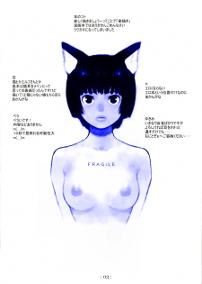 (C66) [Chakapoko Honpo (Yukimi)] FRAGiLE - page 2