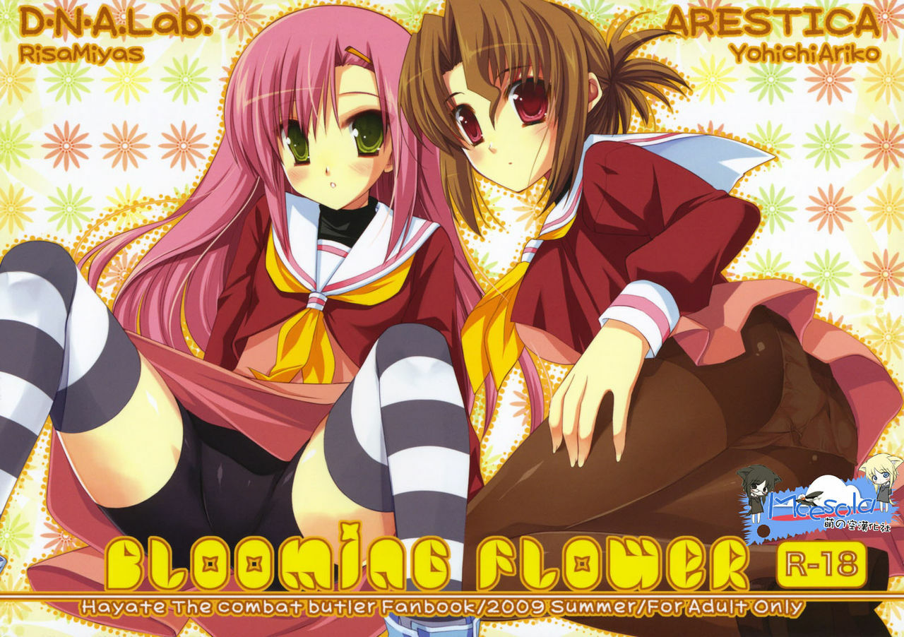 (C76) [ARESTICA, D.N.A.Lab. (Ariko Youichi, Miyasu Risa)] BLOOMING FLOWER (Hayate no Gotoku!) [Chinese] page 1 full