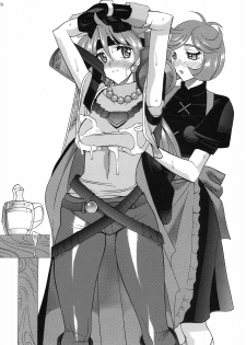 (CT13) [SEMEDAIN G (Mokkouyou Bond, Mizutani Mint)] SEMEDAIN G WORKS Vol. 35 - Shirohebi Ryuuko (Slayers) - page 20