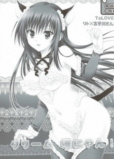 (C76) [USAUSA (Akira)] Cream Yui Nyan! (To LOVE-Ru) [Chinese] [萌の羽翼汉化组] - page 2