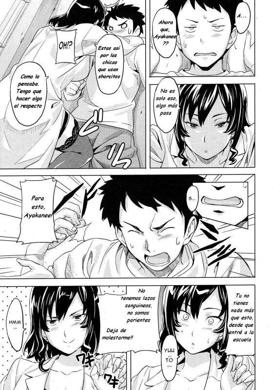 [Takeda Hiromitsu] Anekon | Al cuidado de mis Hermanastras (COMIC Megastore H 2008-03) [Spanish] {Varkatzas666} page 5 full
