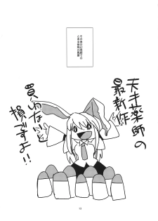 (C76) [pinktips.info (kazuha)] Cosplay Reitaisai o Katte Shimatta. (Touhou Project) - page 13